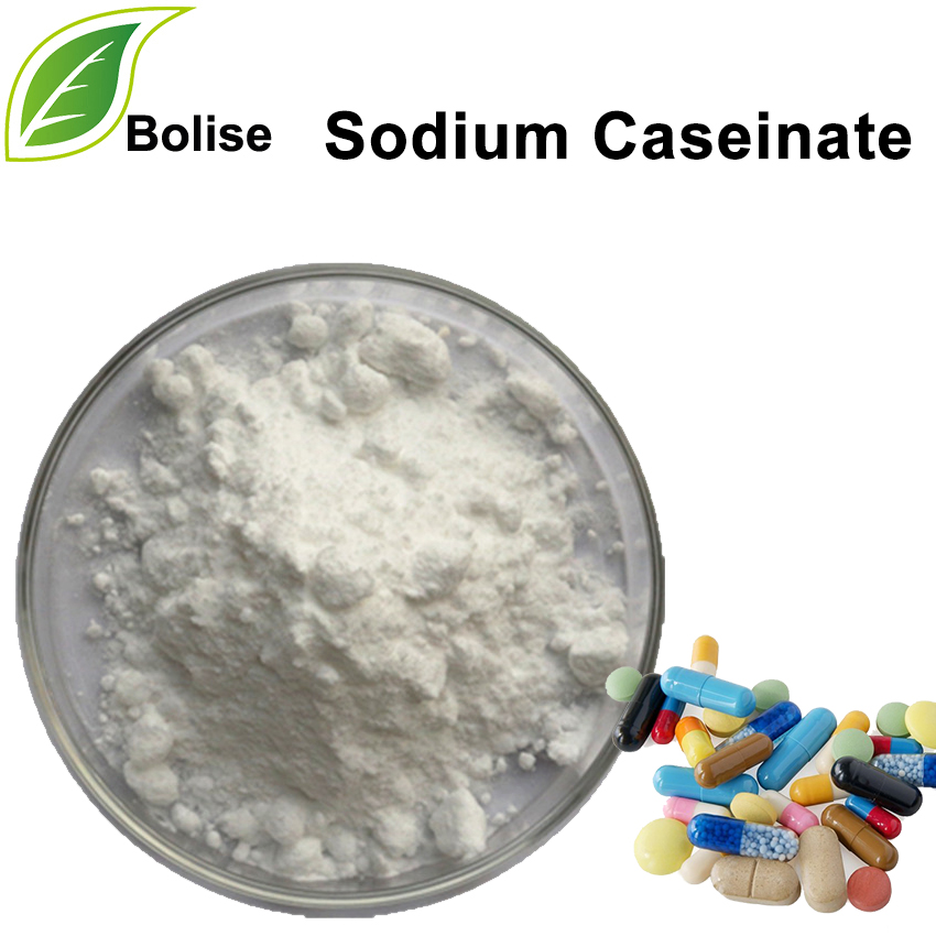 Sodium caseinate