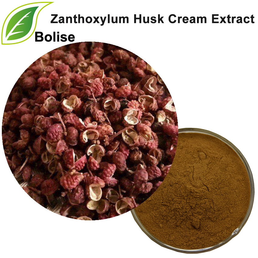 Zanthoxylum Husk Cream-extract