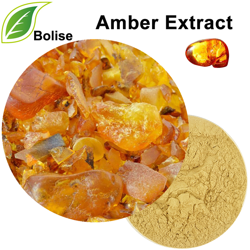 Amber Extract