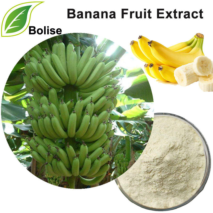 Extrakt zo sušeného banánového ovocia