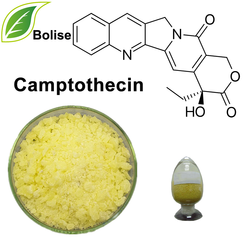 カンプトテシン