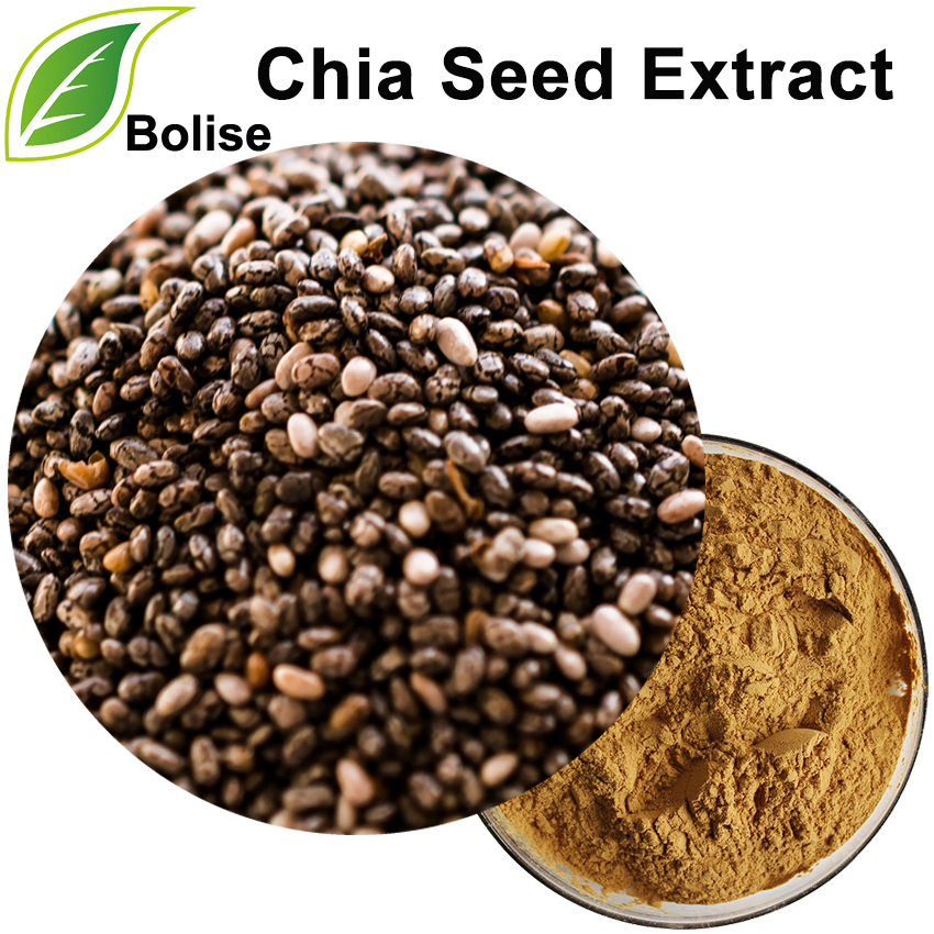 Chia Seed Extract Chia Seed Extract
