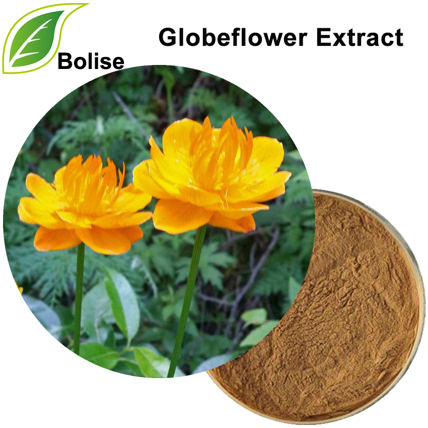 Trollius chinensis Bge. Soosaaray