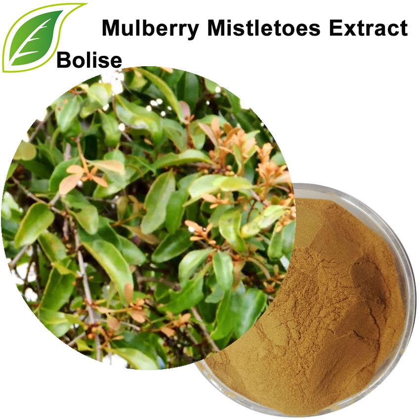 Mulberry Mistletoes laburpena