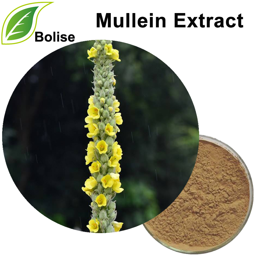 Mullein Ekstresi