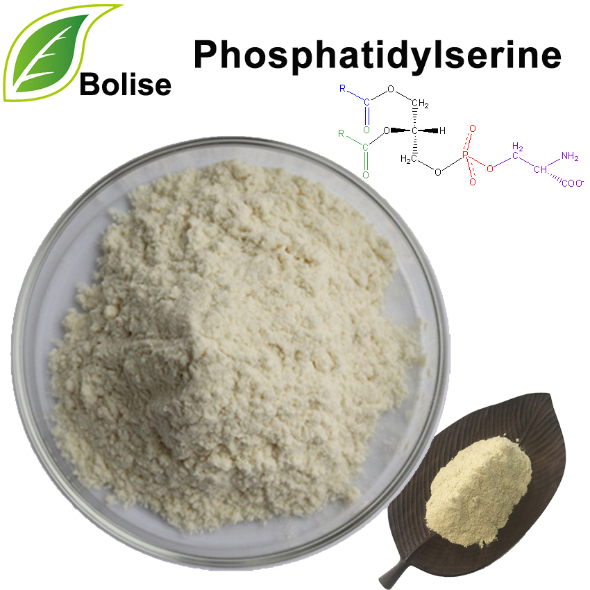 Fosfatidylserín