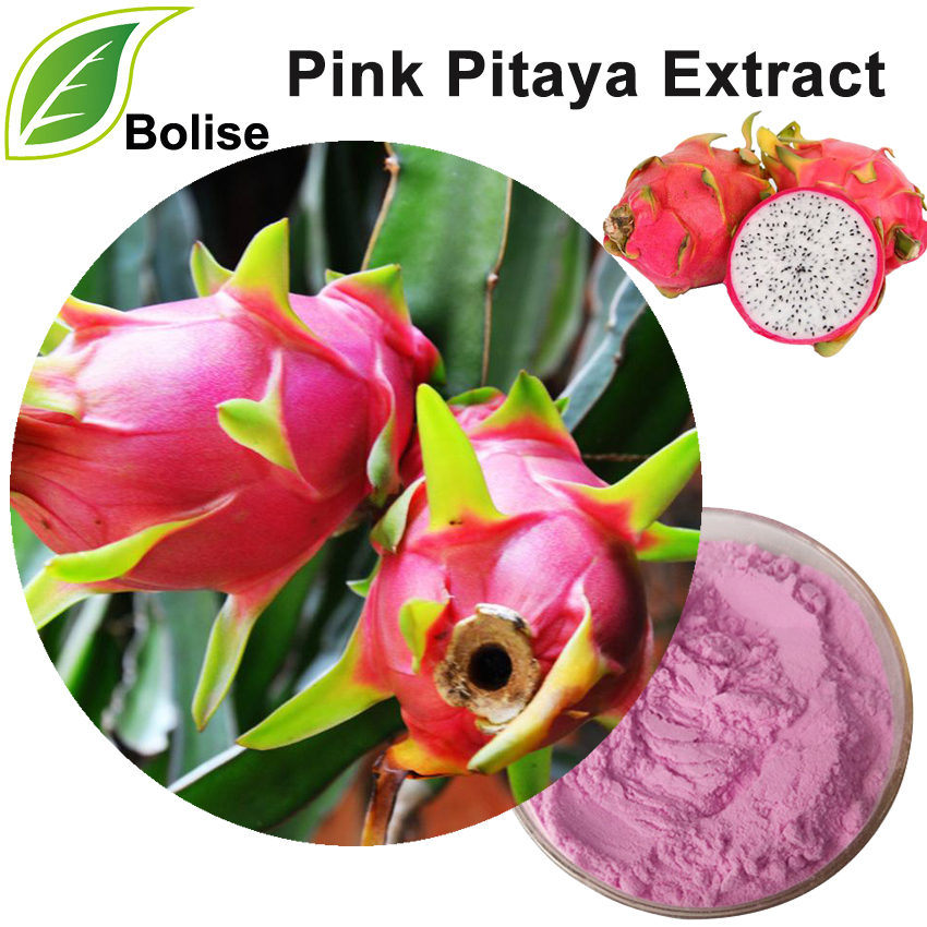 Vaaleanpunainen Pitaya-uute (Dragon Fruit Extract)