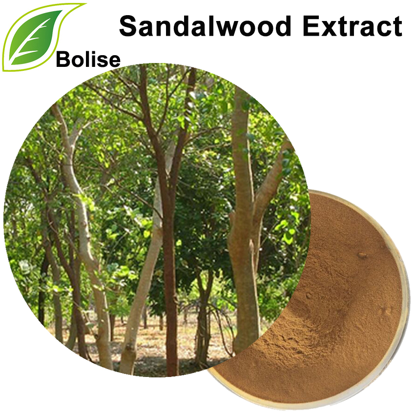 Sandalwood Extract Sandalwood Extract