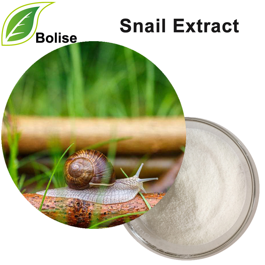 蝸牛提取物（Snail Slime Extract）