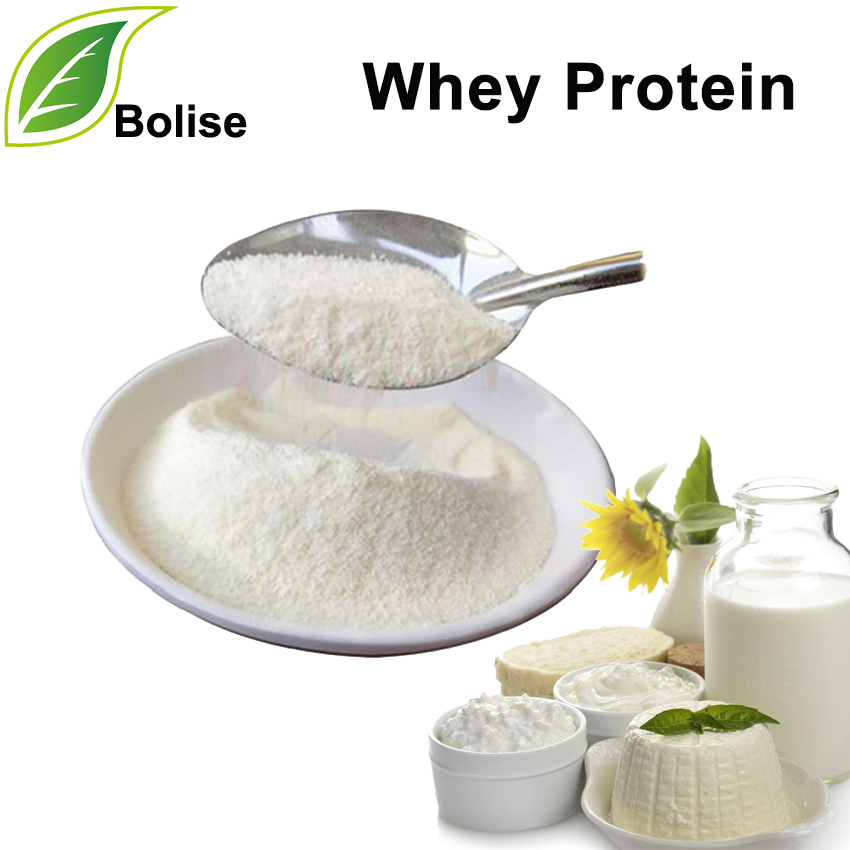 Protéines de lactosérum