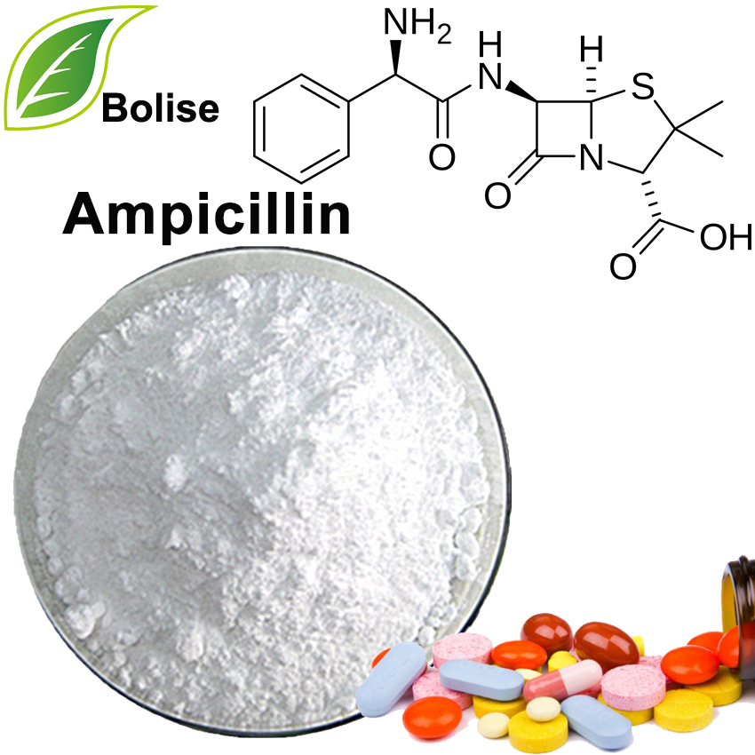 Ampicilina