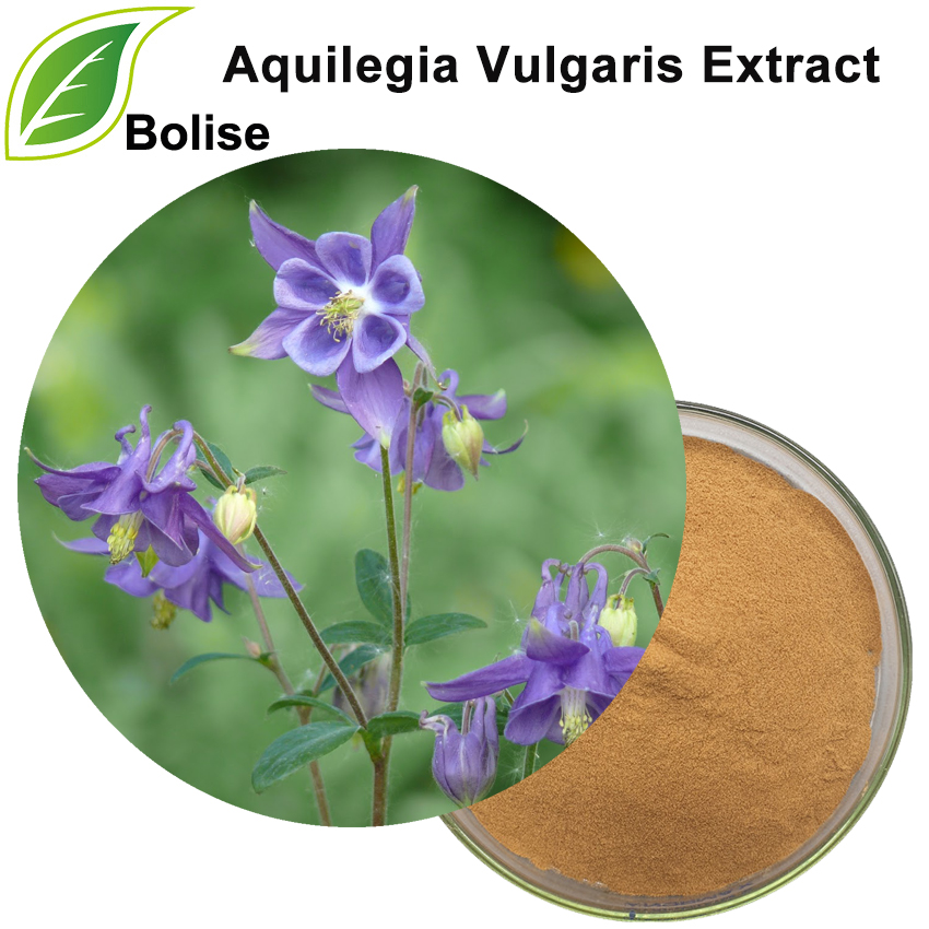 Extrakt z Aquilegia vulgaris