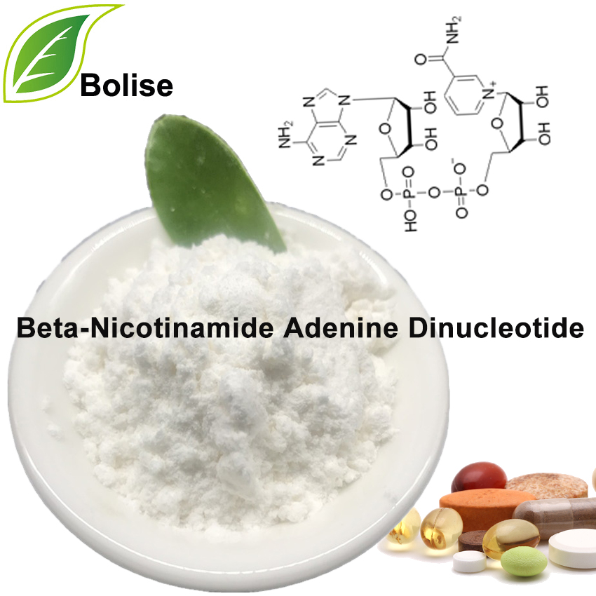 Beta-nikotinamid adenin dinukleotid