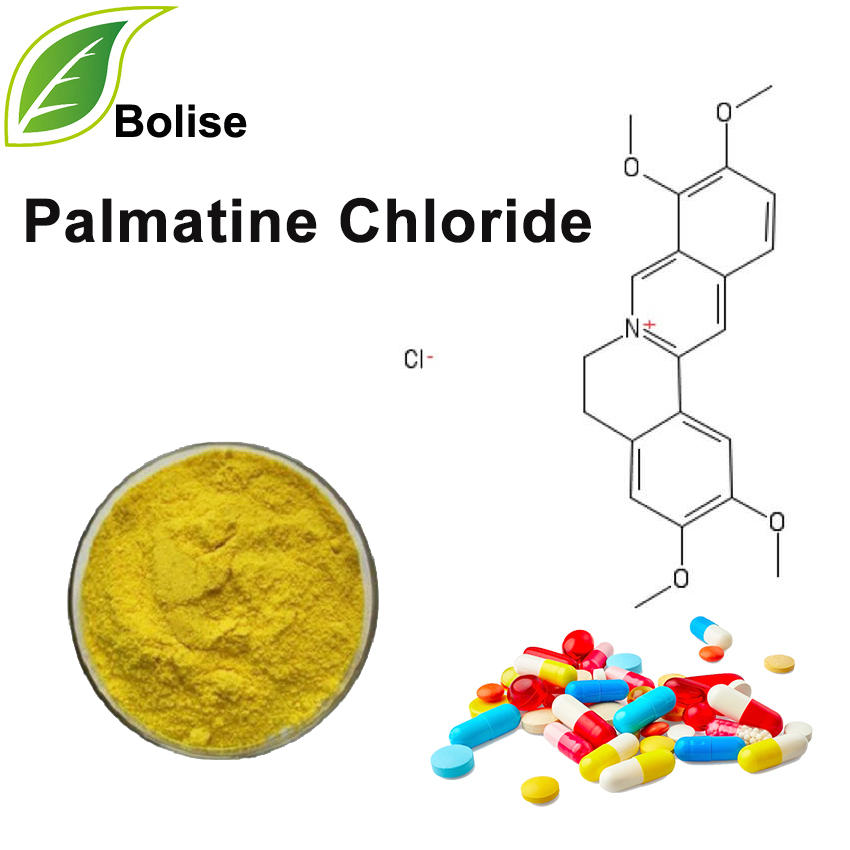 Палматин хлорид
