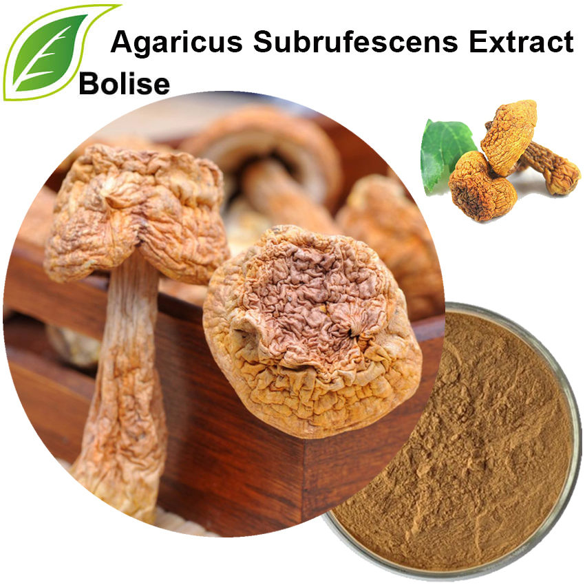 Agaricus Subrufescens Extract (एर्गोस्टेरॉल, β-glucans)