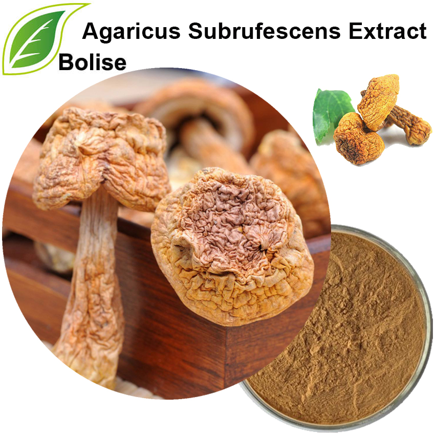 مستخلص Agaricus Subrufescens (Ergosterol ، β-glucans)