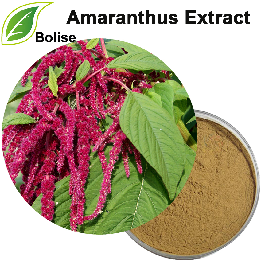 Amaranthus extrakt