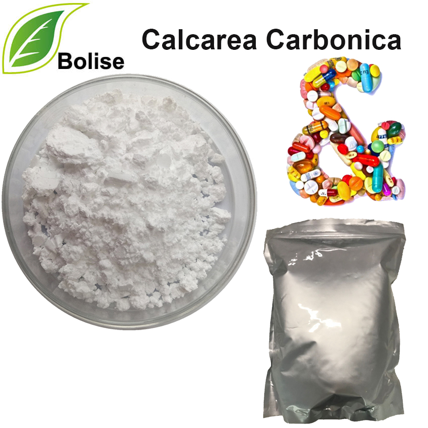 Calcarea Carbonica Calcarea Carbonica