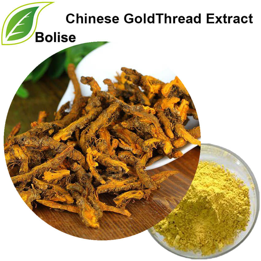 Chinese GoldThread Extract Chinese GoldThread Extract
