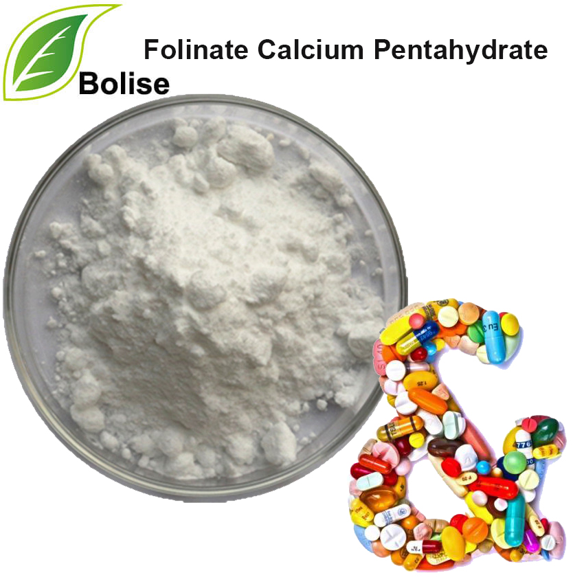 Folinate Calcium Pentahidrate
