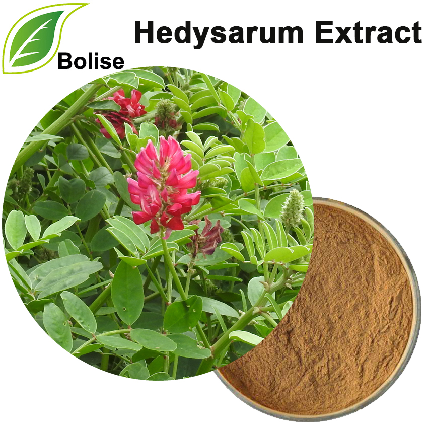 Hedysarum Extract Hedysarum Extract