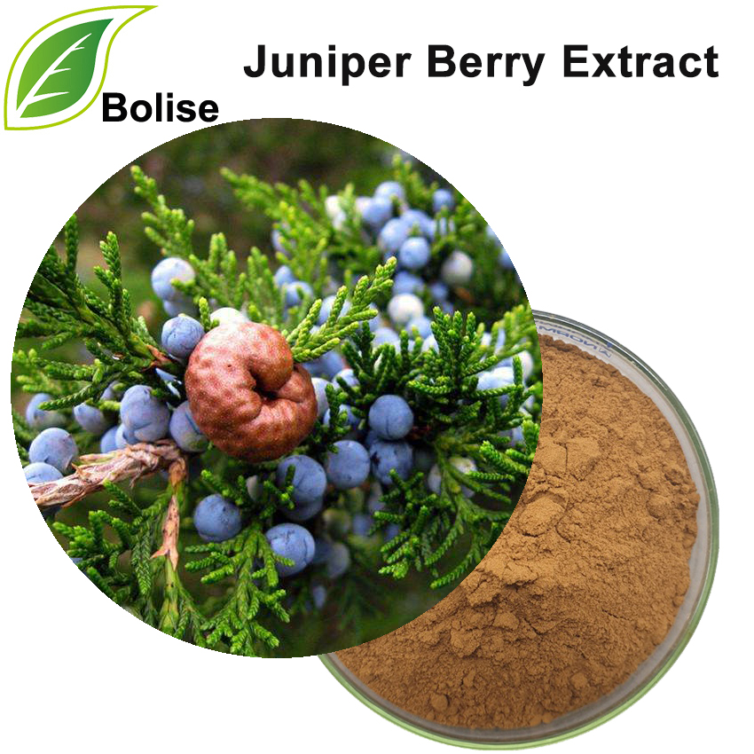 Juniper Berry Uittreksel