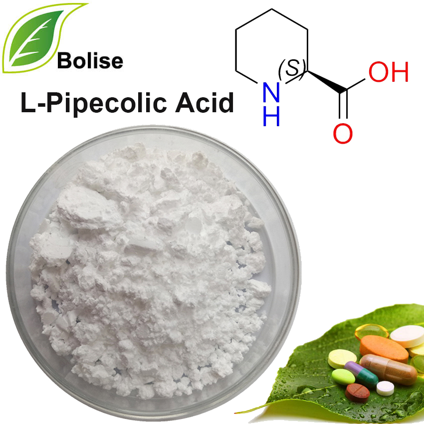 Asiidh L-Pipecolic