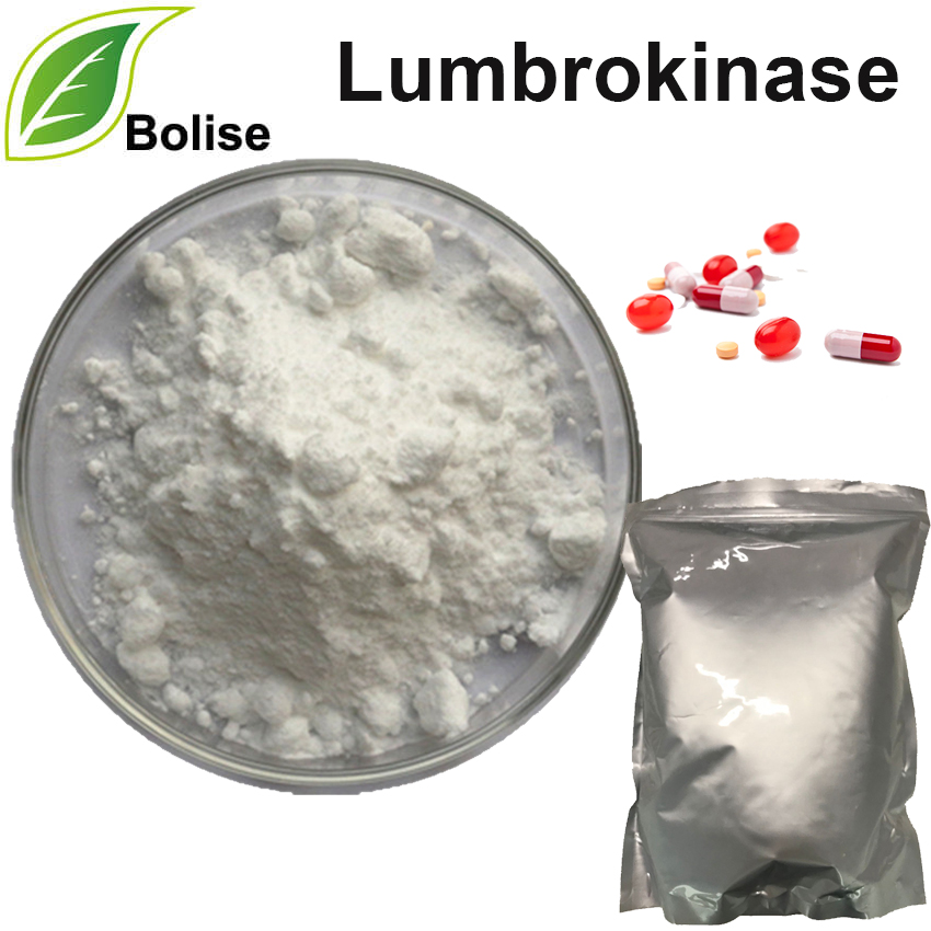 Lumbrokinase