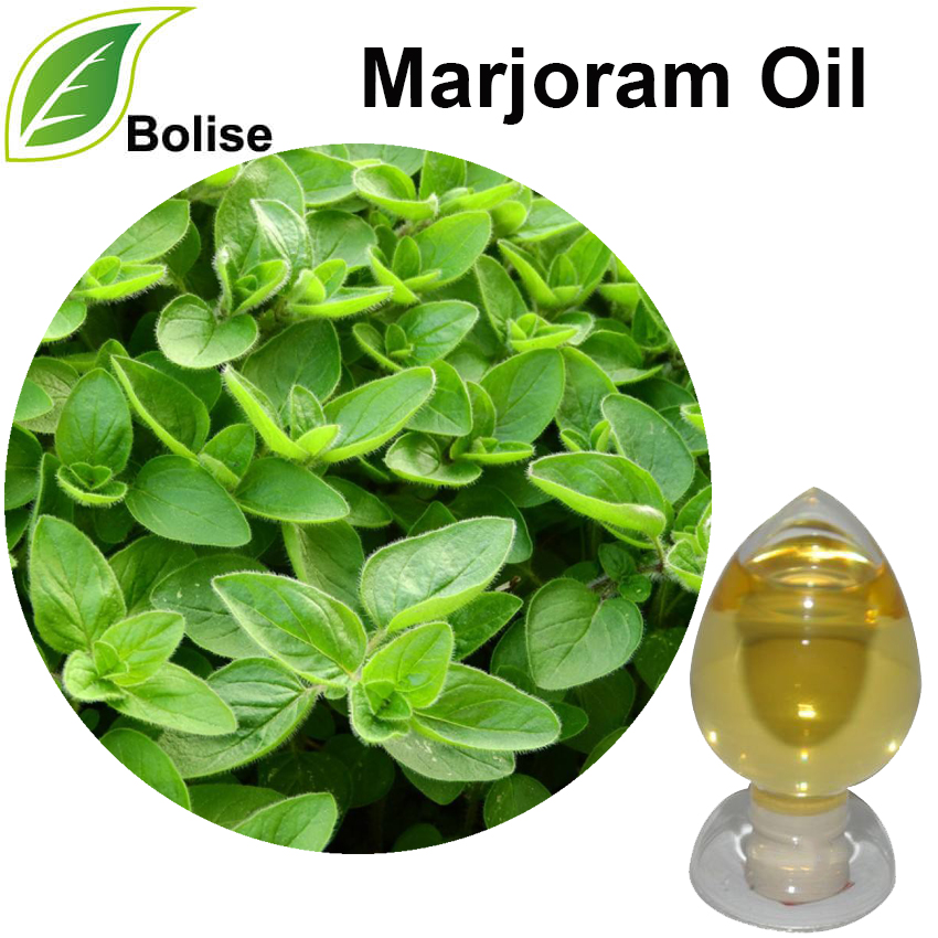 Marjoram olía