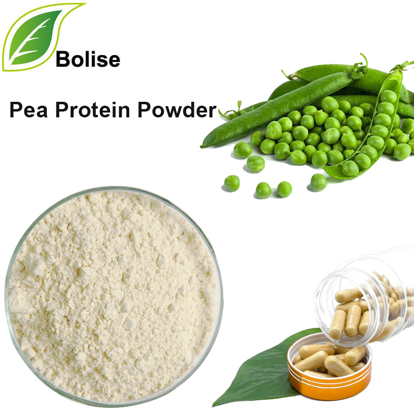 Pea Protein Pudrası