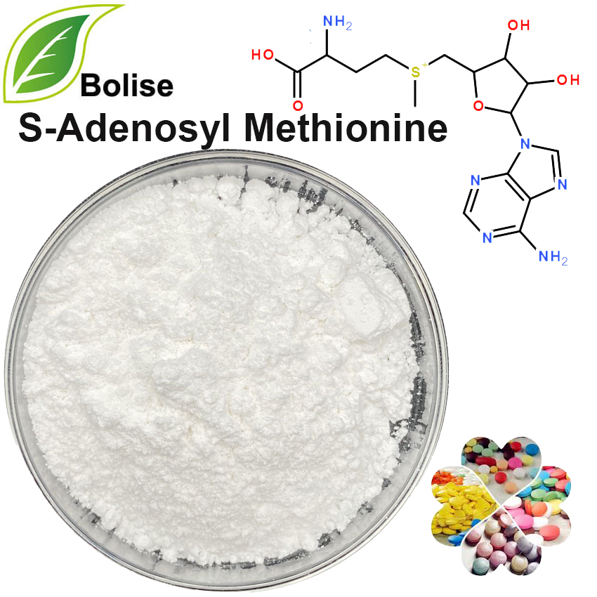 S-adenosylmetionin (S-adenosyl-L-metionin)