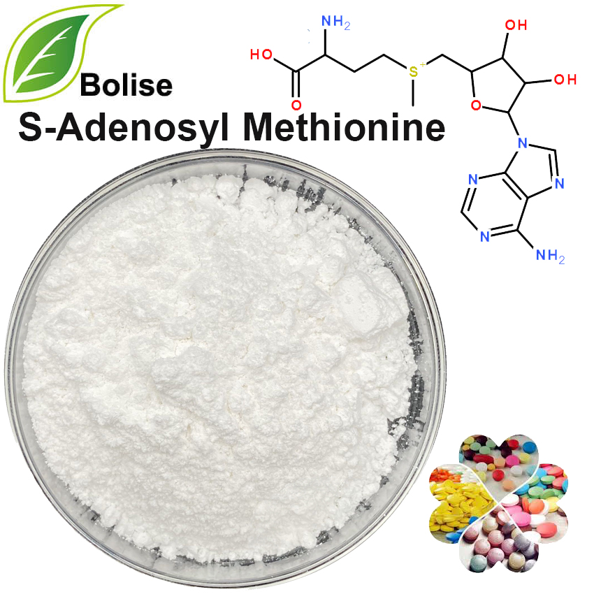 S-Adenosyl Methionine (S-Adenosyl-L-Methionine) S-Adenosyl Methionine (S-Adenosyl-L-Methionine)