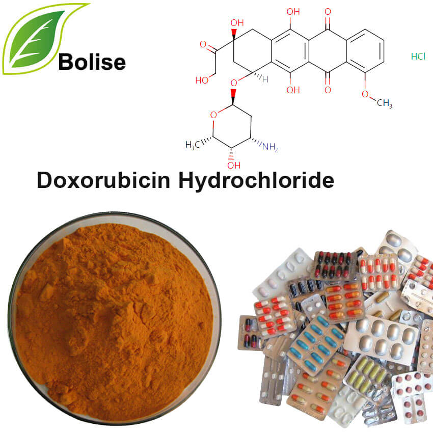 Doksorubicin hidroklorid (Doxorubicin HCL)