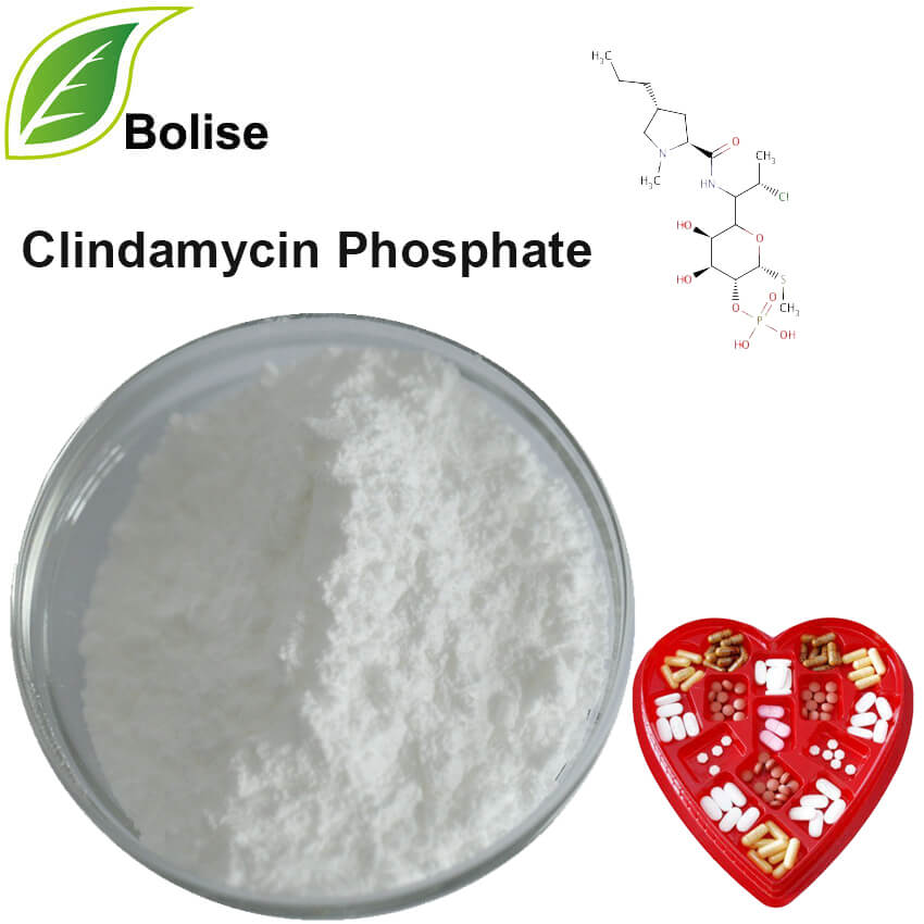 Clindamycin Phosphate Clindamycin Phosphate