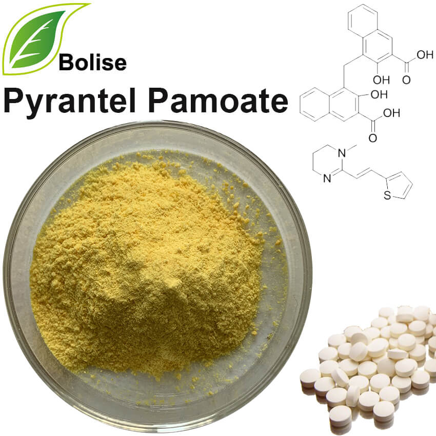 Pyrantel Pamoate Pyrantel Pamoate