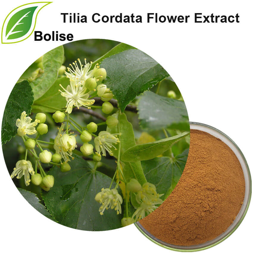Tilia Cordata Flower Extract(Linden Blossom Extract) Tilia Cordata Flower Extract(Linden Blossom Extract)