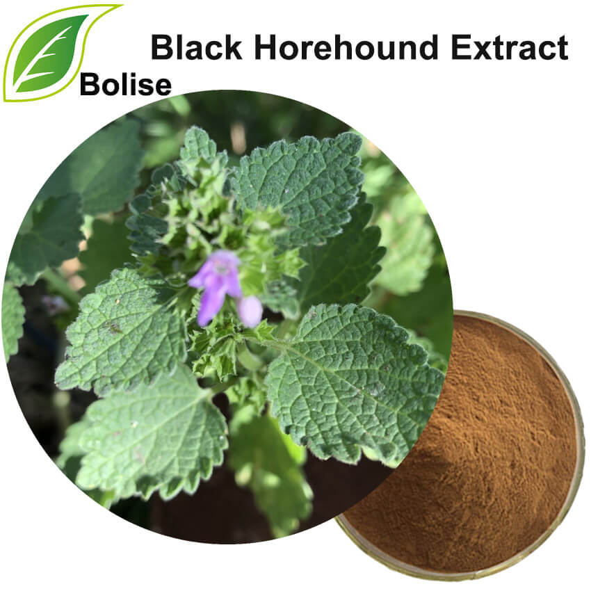 Extractul Black Horehound