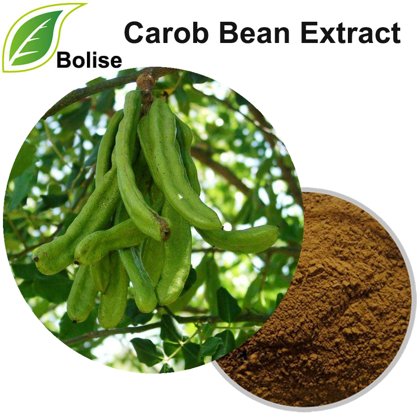 Chiết xuất đậu Carob