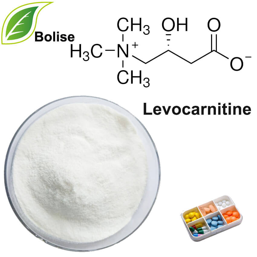 Levocarnitine Levocarnitine