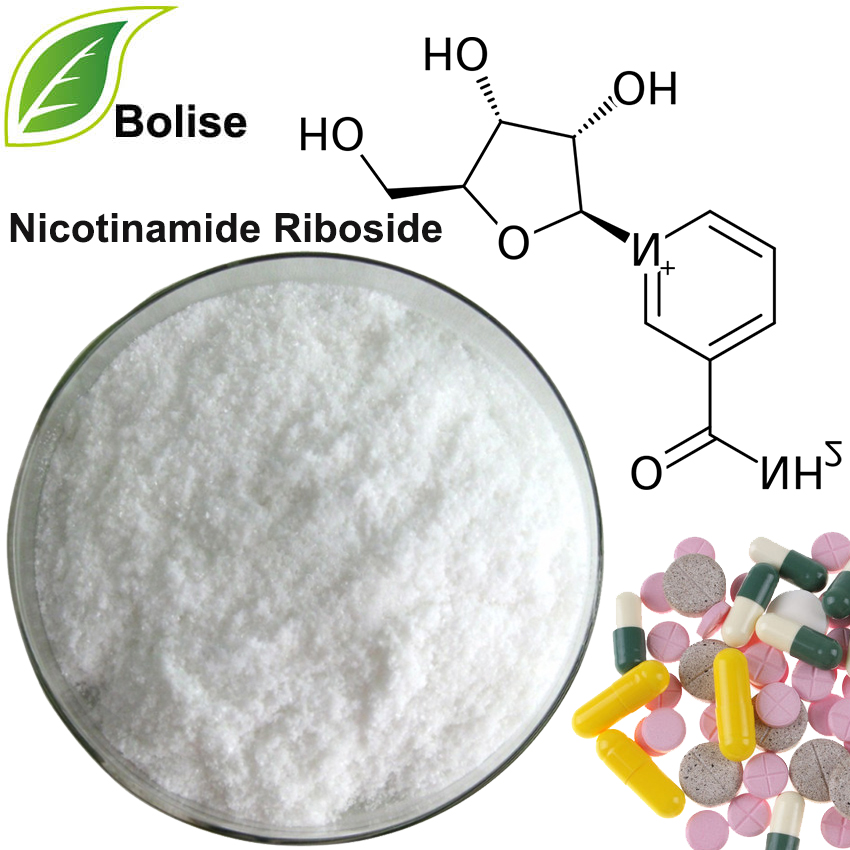 Riboside Nicotinamide