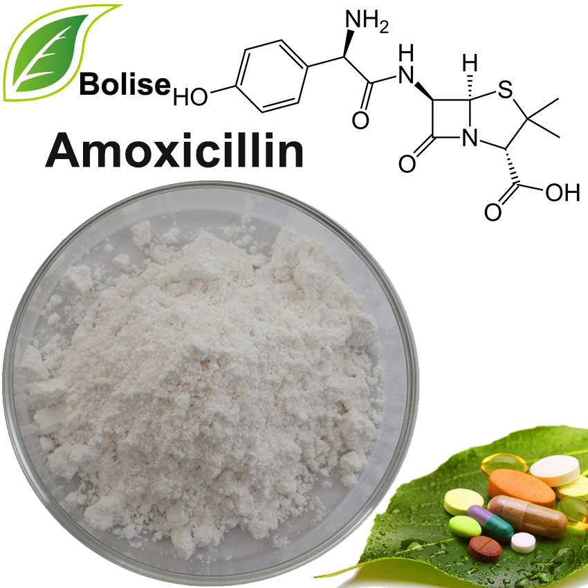 Amoksicilin