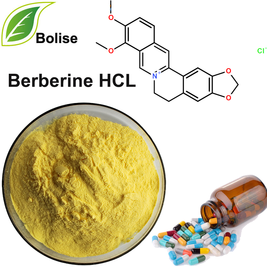 Berberina HCL (cloridrato de berberina)