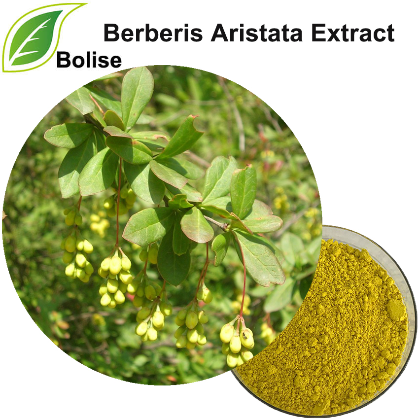 Berberis Aristata ekstrakts