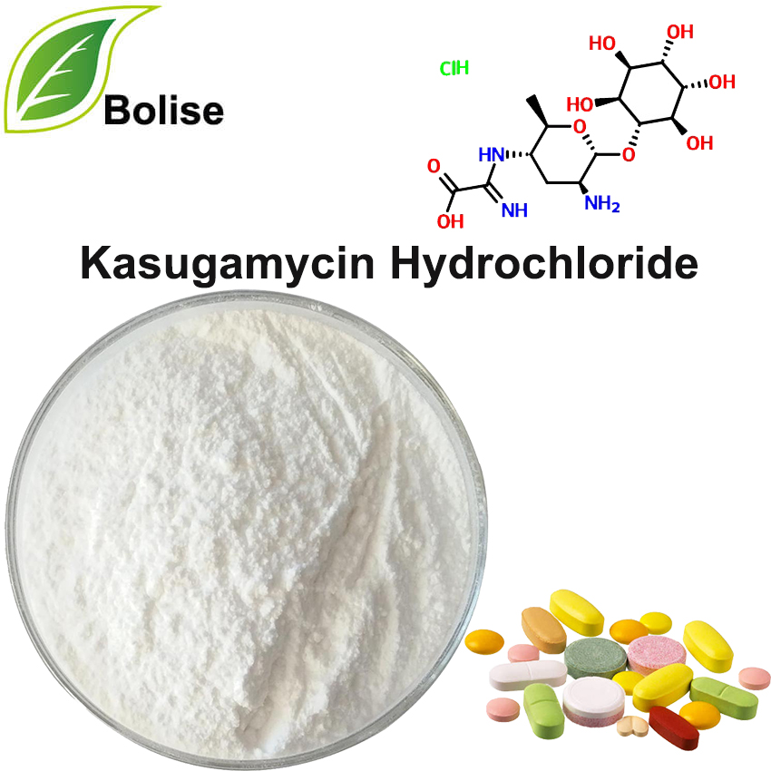 Kasugamicina klorhidratoa