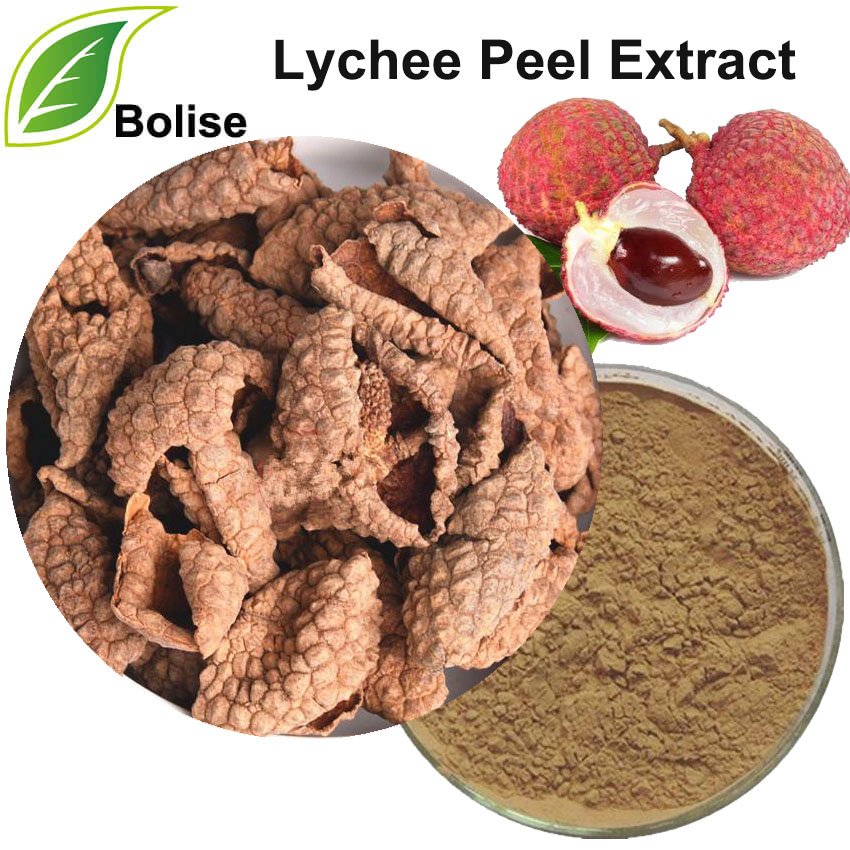 Lychee Peel Extract(Litchi Rind Extract)