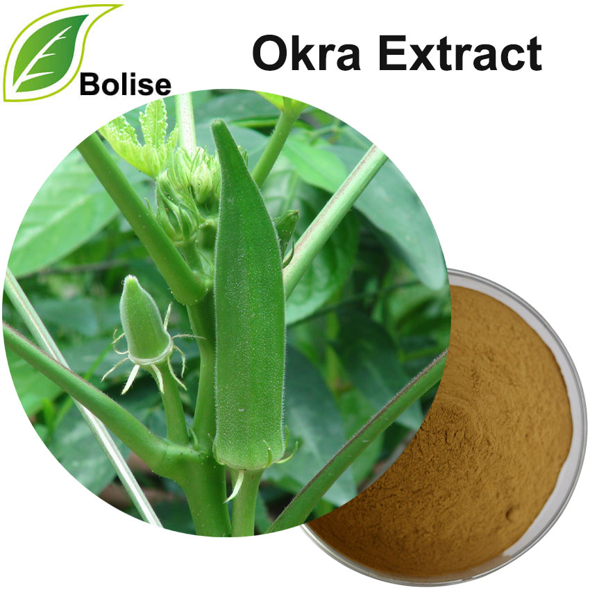Okra-ekstrakt