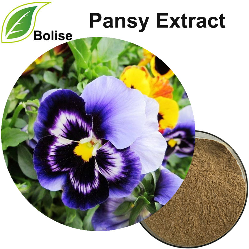 Pansy Ekstraktı (Viola Üçrəngli Ekstraktı)