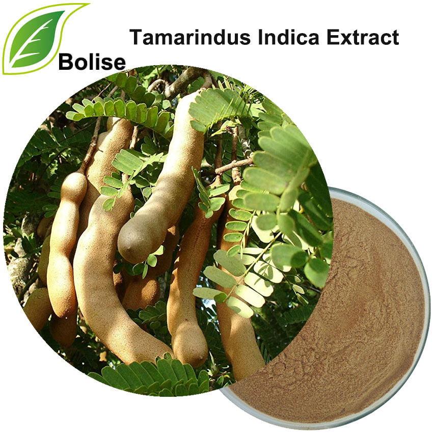 Tamarinda ekstrakts (Tamarindus Indica ekstrakts)