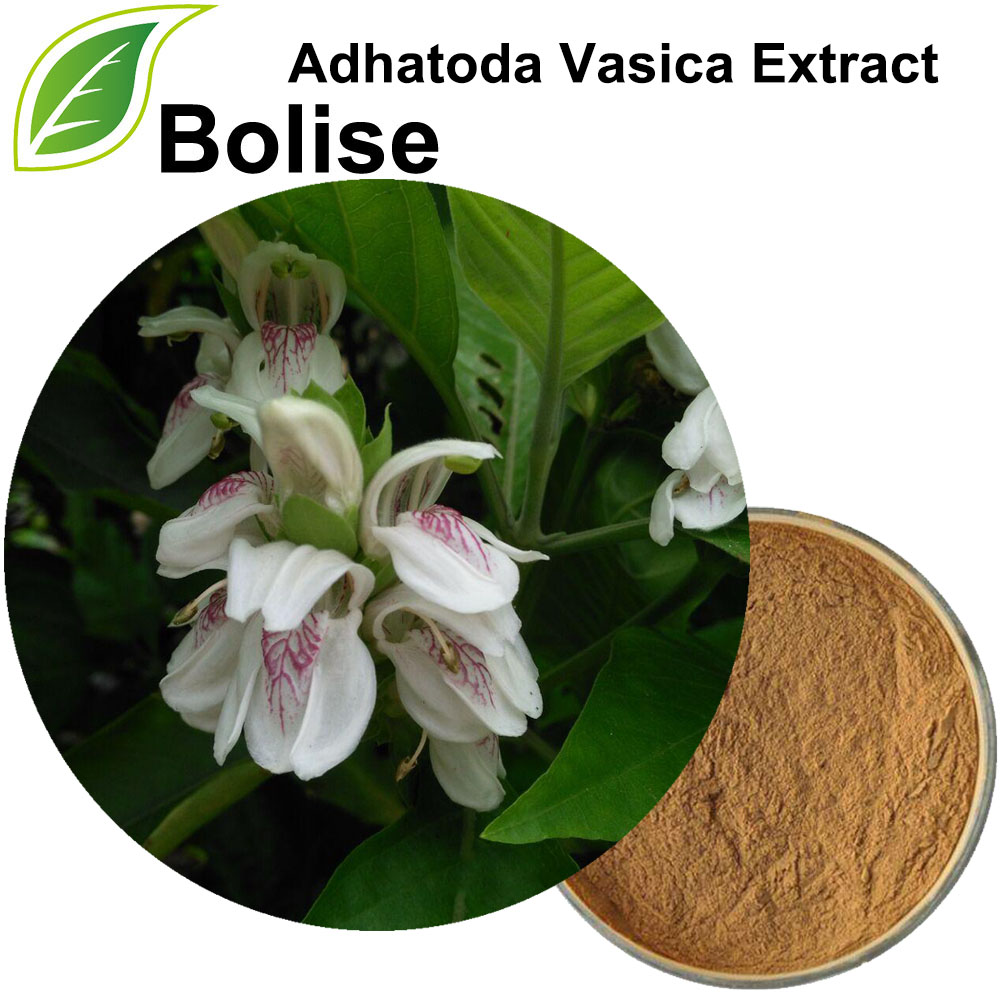 Adhatoda Vasica Extract (Justicia Adhatoda Extract)