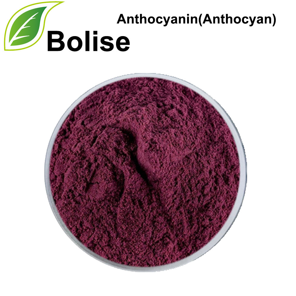 Anthocyanin (Anthocyan)